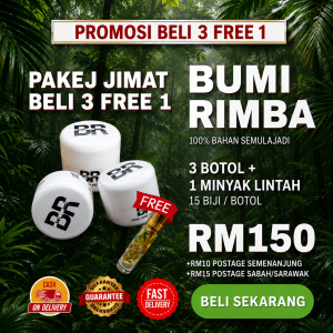MAKJUN BUMI RIMBA 3 PCS + FREEGIFT 1 MINYAK LINTAH